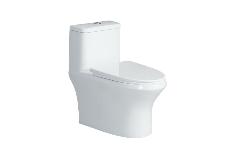 虹吸式连体坐便器LZ1237M/L