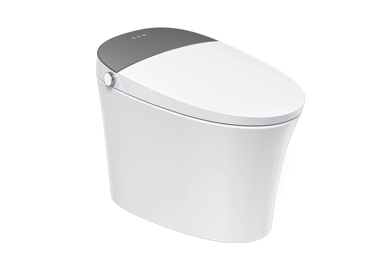 智能坐便器LZ1118M/L