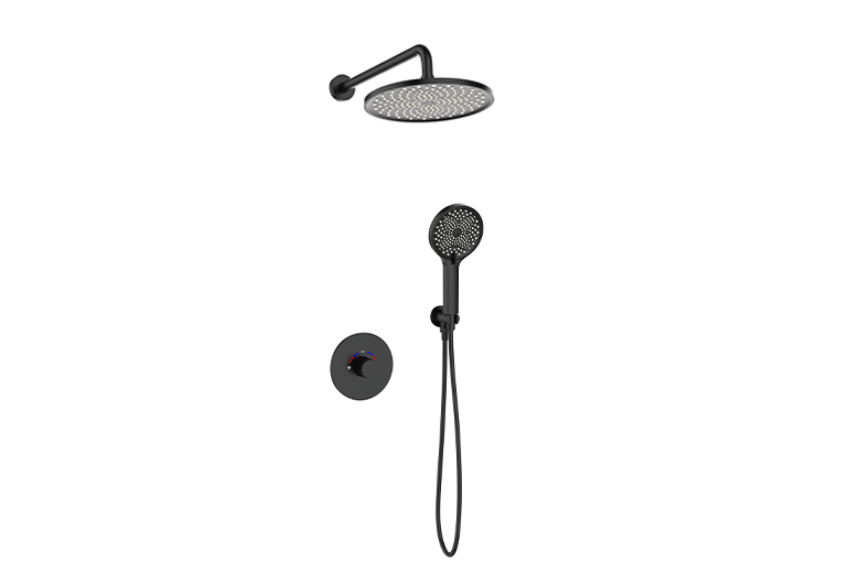 暗装双功能淋浴器WP60819-B