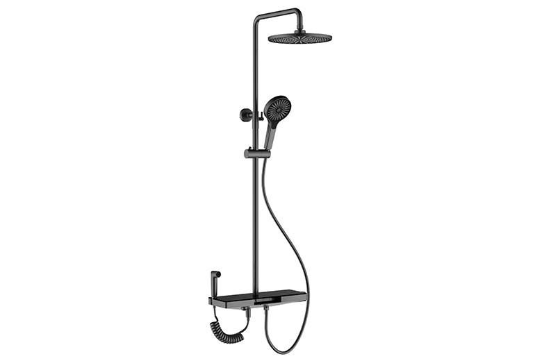 四功能置物淋浴器WP60823-G